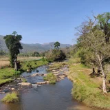 Wayanad Wildlife Sanctuary  Wayanad 